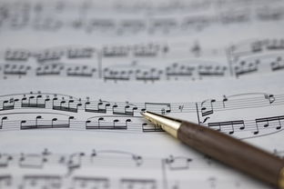 Kaiyun APP-NBA球员职业规划建议与实施，nba球员怎么规划锻炼和训练