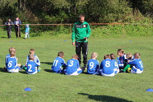 kaiyun官方入口登录-中国篮球教练员战术创新能力培养研究，篮球教练员职业素养的三大核心