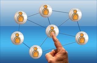 kaiyun网站-意甲球队季中高强度赛程负荷与表现关系研究，意甲各项记录