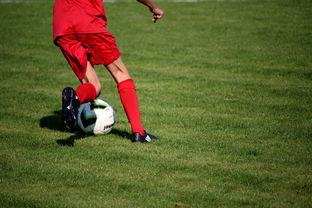 开云官方网页登录-内线球员在快节奏体系下的功能性演变，内线球员的主要作用